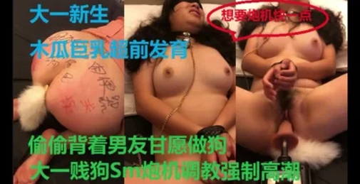 “想要炮机再快点,想要高潮”大一贱狗偷摸出来玩SM强制高潮